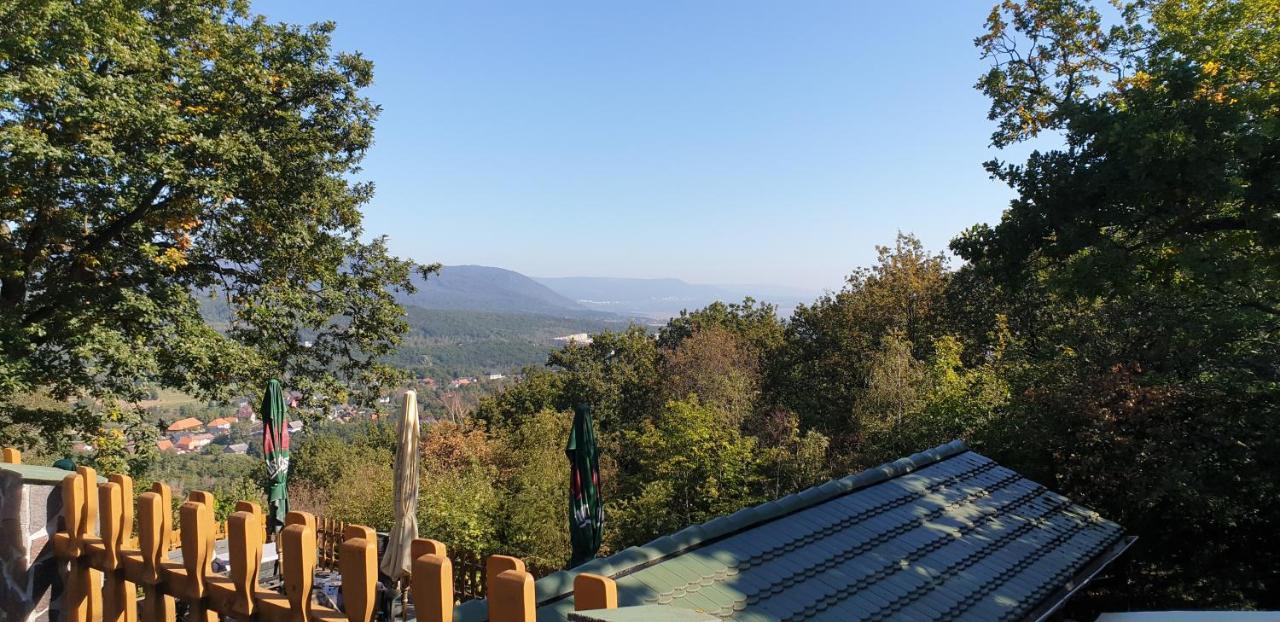 Forrest Hotel Chomutov Buitenkant foto